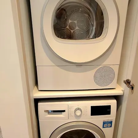 Zantis Executive 301